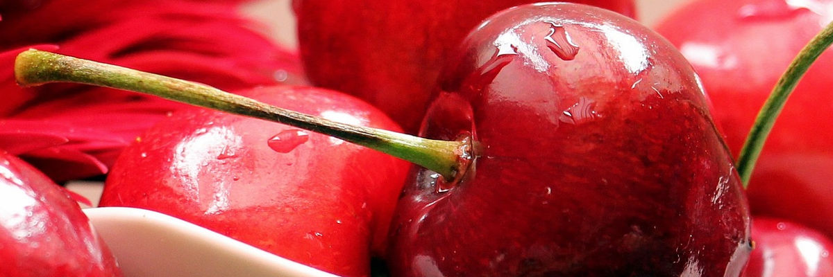 Acompanhamento permanente para garantir as soluções implementadas