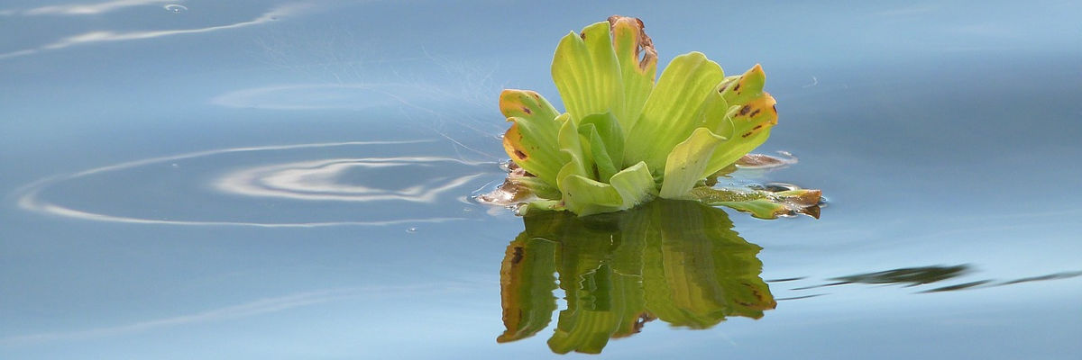 O nosso objetivo é a total satisfação dos nossos clientes... A nossa motivação é querer mais e melhor...